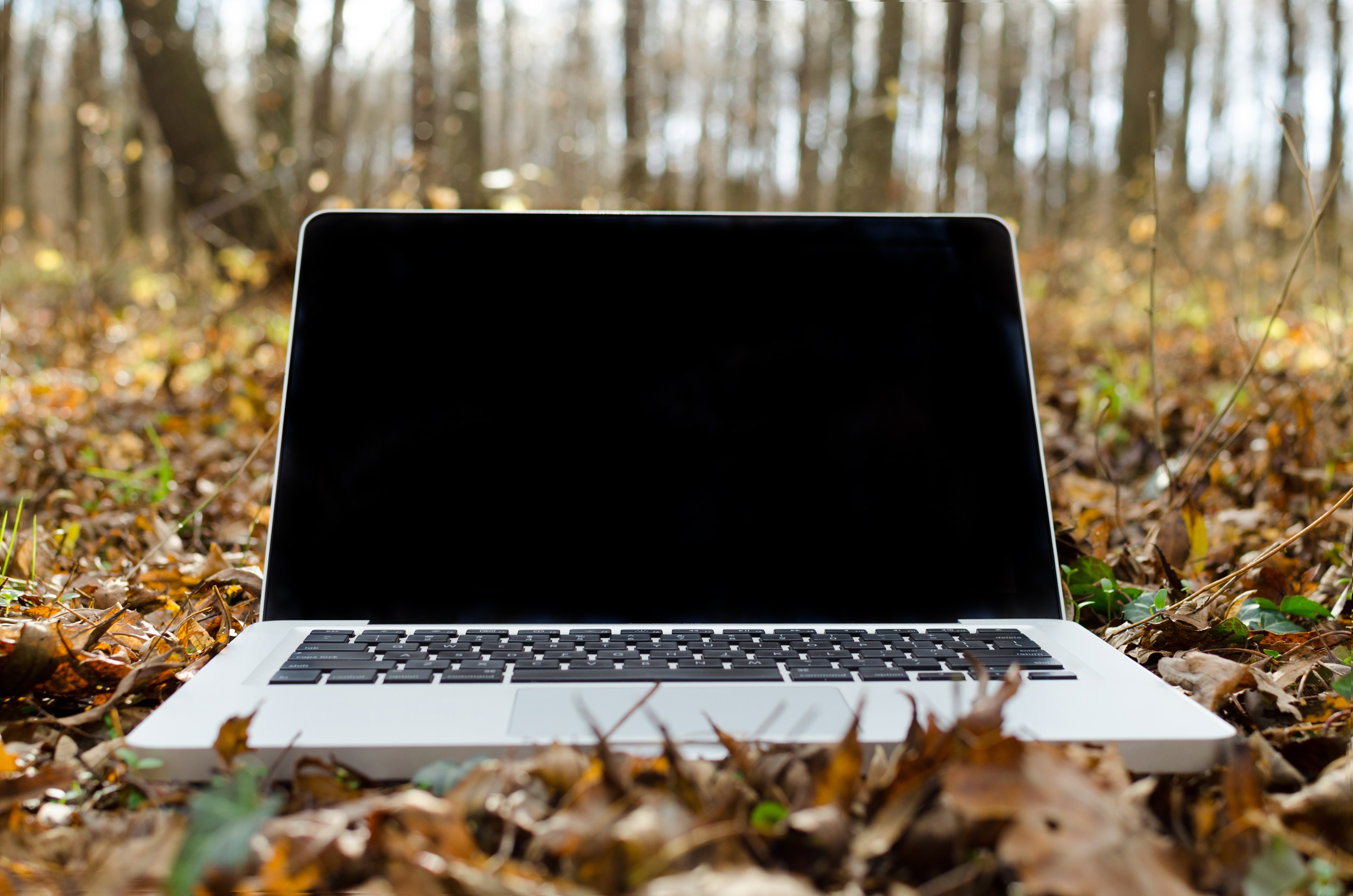 laptop left in the woods